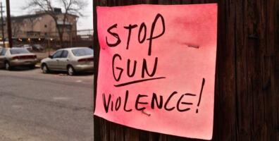 Florida 'red flag' law has removed hundreds of guns: report